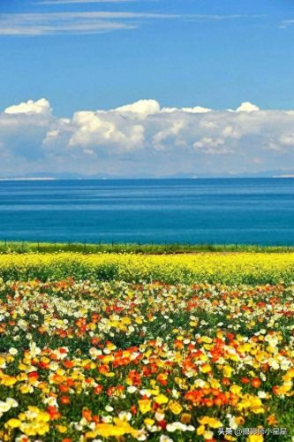 人像摄影十大城市排行榜(全国十大摄影城市)插图35 人像摄影十大城市排行榜(全国十大摄影城市)插图35