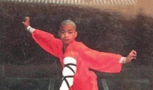 世界最好的武术家排名前十(北京武术学校排名前十名)插图2