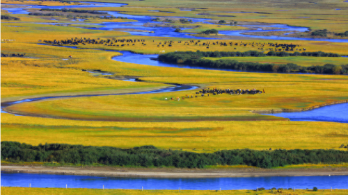 理塘县大型企业排名前十(理塘县企业排名前十)插图2 理塘县大型企业排名前十(理塘县企业排名前十)插图2