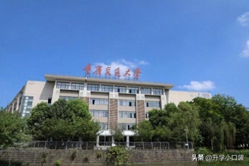 重庆市交通集团排名前十(重庆市交通运输公司名单)插图3