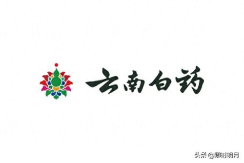 云南省排名前十的私家企业(云南前十公司排名)插图