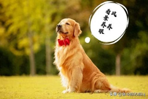 农场赚钱游戏十大排行榜(农场赚钱版游戏大全)插图