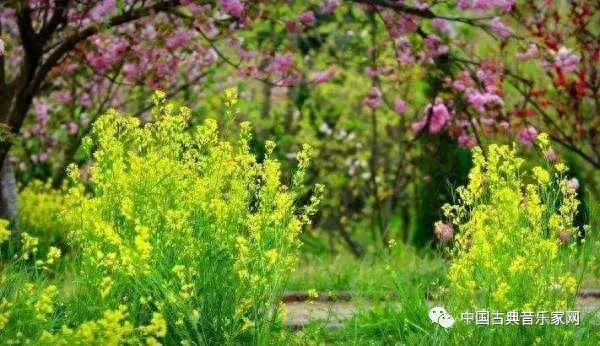 网上十大意大利歌曲排行榜(意大利的十大歌曲)插图