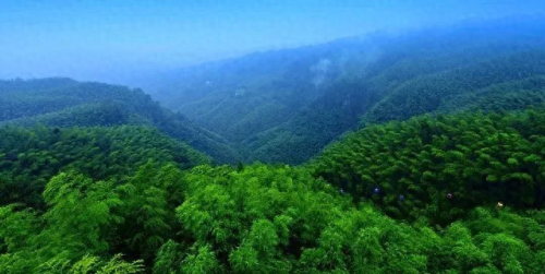 中国十大竹海景区排行榜(中国竹海景点排名前十名)插图6 中国十大竹海景区排行榜(中国竹海景点排名前十名)插图6