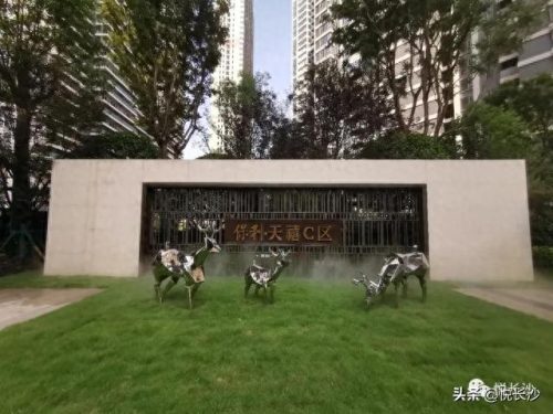 长沙小区绿地率排名前十(长沙最差楼盘排名)插图4