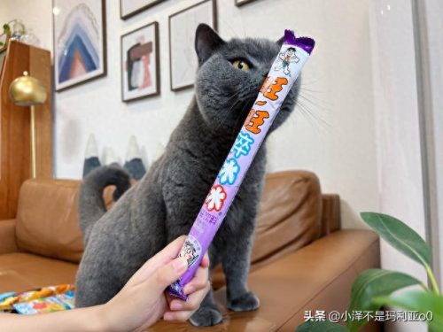 十大高价雪糕排行榜实体店(十大宝藏雪糕盘点)插图17 十大高价雪糕排行榜实体店(十大宝藏雪糕盘点)插图17