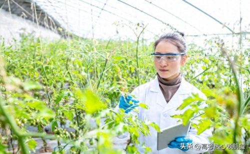 山东农业专业大专排名前十(山东农业类大专排名)插图 山东农业专业大专排名前十(山东农业类大专排名)插图