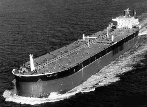 十大巨型轮船排行榜最新(中国最大轮船十大排名)插图3