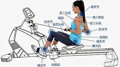 十大室内健身器材排行榜(家用室外健身器材十大排行)插图53