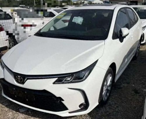 轿车纯燃油车油耗排名前十(凌放2023燃油版油耗)插图2