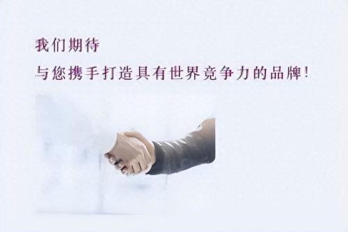 上海十大广告公司排行榜(上海十大黑中介名单)插图11