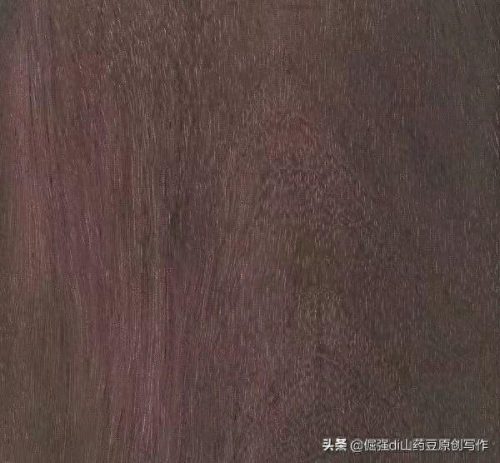 中国十大硬木头排行榜(最重的木头十大排名)插图1