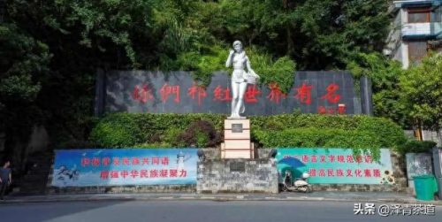 十大茶叶产品排行榜前十名(过期茶叶十大妙用)插图16