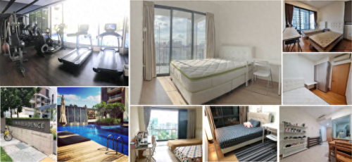 大连出国留学中介排名前十(大连澳枫出国中介)插图27