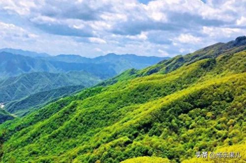 商洛市十大景区排行榜(淄博十大免费景区)插图1