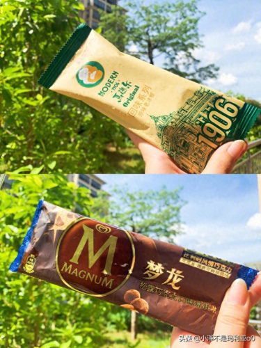 十大高价雪糕排行榜实体店(十大宝藏雪糕盘点)插图5 十大高价雪糕排行榜实体店(十大宝藏雪糕盘点)插图5