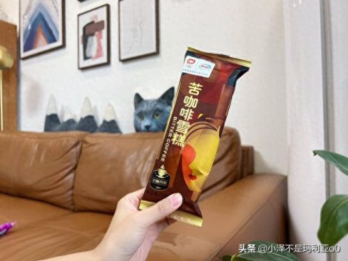 十大高价雪糕排行榜实体店(十大宝藏雪糕盘点)插图26 十大高价雪糕排行榜实体店(十大宝藏雪糕盘点)插图26