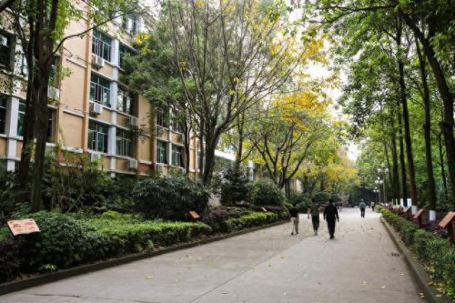 k12十大品牌排行榜最新(k12多少钱一瓶)插图6