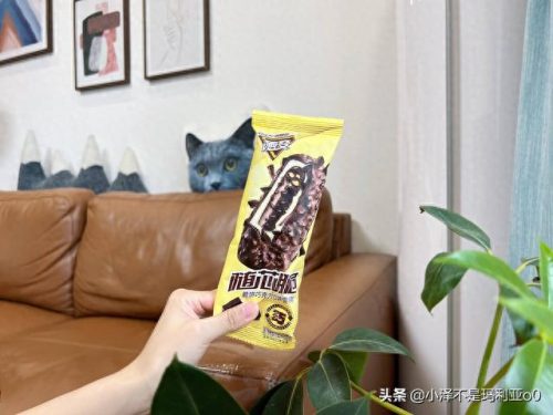 十大高价雪糕排行榜实体店(十大宝藏雪糕盘点)插图28 十大高价雪糕排行榜实体店(十大宝藏雪糕盘点)插图28