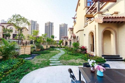 昆山小院绿植销售排名前十(昆山花桥绿植批发排名)插图6 昆山小院绿植销售排名前十(昆山花桥绿植批发排名)插图6