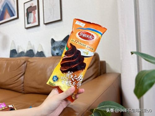 十大高价雪糕排行榜实体店(十大宝藏雪糕盘点)插图29 十大高价雪糕排行榜实体店(十大宝藏雪糕盘点)插图29