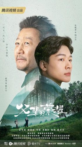 十大最感人的田园剧排行榜(十大好剧排行榜)插图4