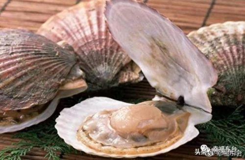 盐城品质硅藻泥排名前十(盐城耐用硅藻泥哪家好)插图7 盐城品质硅藻泥排名前十(盐城耐用硅藻泥哪家好)插图7