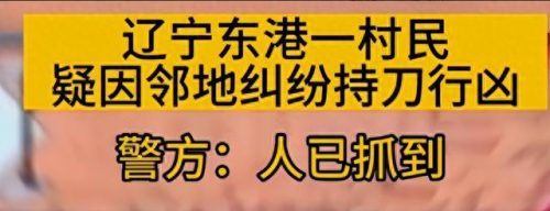 中国十大杀猪刀排行榜价格(十大屠宰刀排名图片大全)插图7