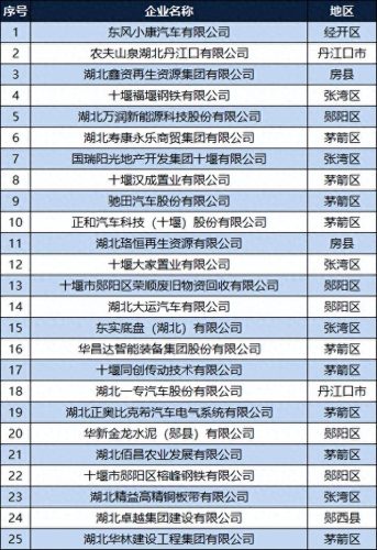 竹溪十大企业排行榜前十名(东西湖十大企业排名)插图1