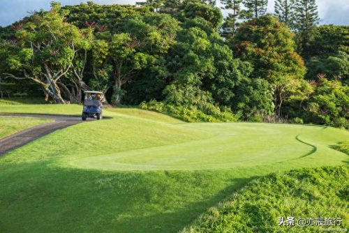 重庆夏季旅游十大排行榜(重庆三天最佳攻略)插图18