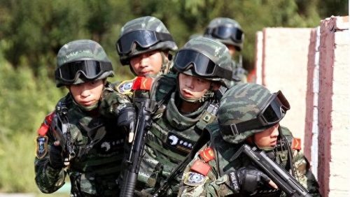 特种兵训练学校排名前十(特种兵学校动画片)插图13