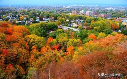 加拿大野外旅游排名前十(加拿大必去景点排名)插图2 加拿大野外旅游排名前十(加拿大必去景点排名)插图2