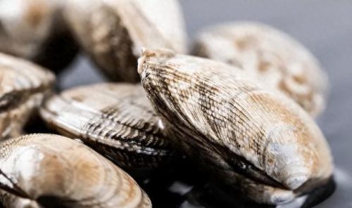 十大含硒的食物排行榜表(含硒最多的食物排行)插图4