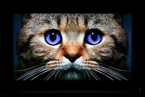 全球十大机顶盒品牌排行榜(十大入门级机顶盒排名)插图8