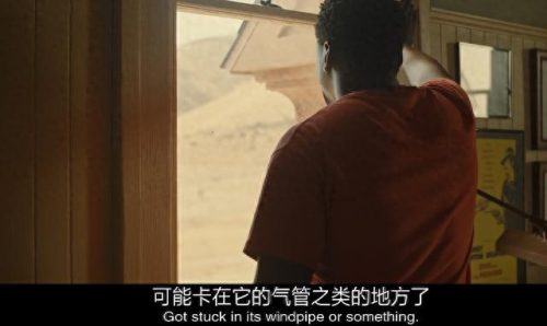 十大无声恐怖片排行榜最新(十大恐怖片真实事件)插图20