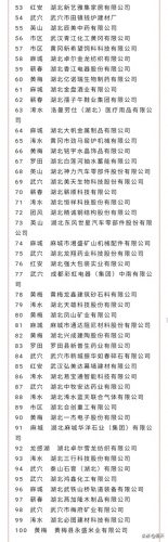 黄冈十大企业排行榜前十名(黄冈民营企业十强)插图7