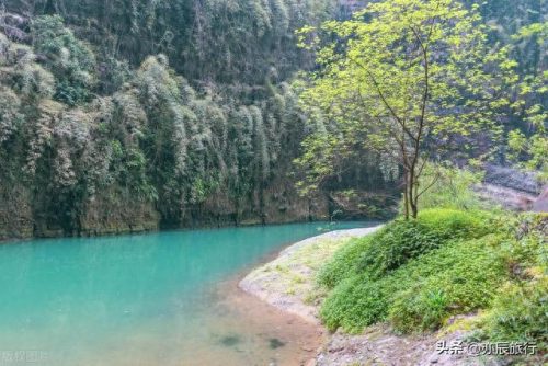 重庆夏季旅游十大排行榜(重庆三天最佳攻略)插图24