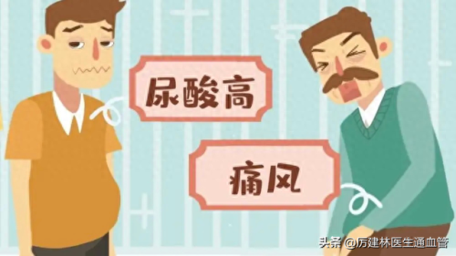 2020十大小苏打排行榜(小苏打各个地区叫法)插图7