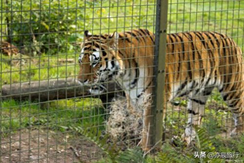 山东城市户外排名前十(山东省沙滩排名)插图26 山东城市户外排名前十(山东省沙滩排名)插图26