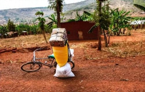 世界经济最穷国家排名前十(世界10大最穷国家排行榜)插图9