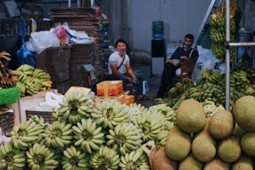 十大品牌水果排行榜前十名(十大补钙水果)插图4