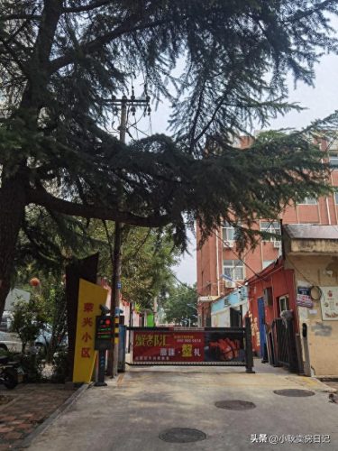 十大最小的小区排行榜图(鸡西十大高档小区)