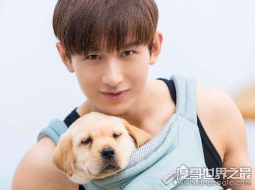 成毅古装少年感图片(成毅古装 图片)