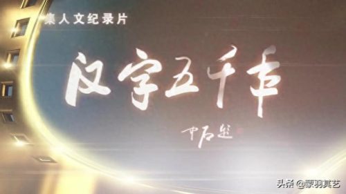 央视十大优秀纪录片排行榜(央视十部顶级纪录片)插图40