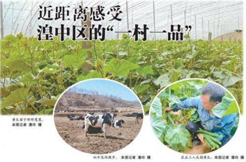 西宁杀虫灯厂家排名前十(室外杀虫灯厂家排行)插图