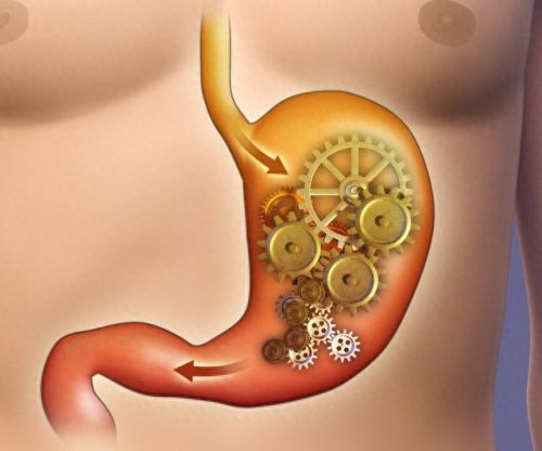 抗肿瘤十大蔬菜排行榜图(十大补肾蔬菜排名)插图2