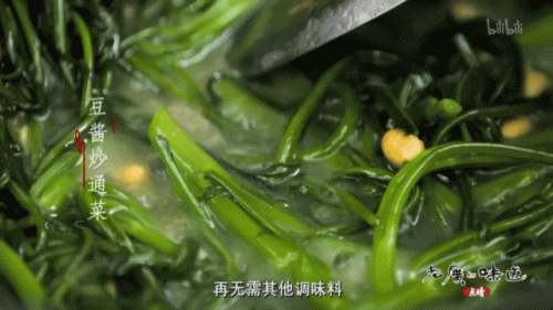 十大不见光蔬菜排行榜图(十大回奶蔬菜排名表)插图21