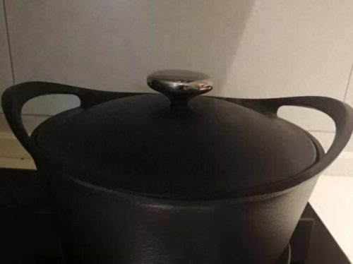 铸铁炖锅品牌十大排行榜(炖锅品牌最好的)插图21