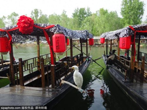 北京市周边十大景点排行榜(北京周边旅游景点排名前十)插图19 北京市周边十大景点排行榜(北京周边旅游景点排名前十)插图19