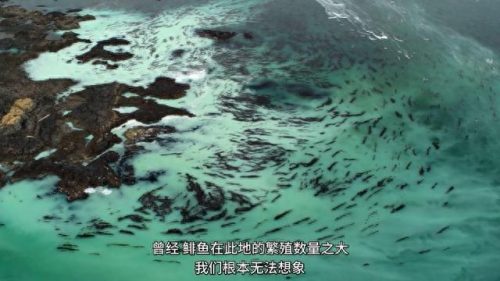 世界十大神剧经典排行榜(全球十大新剧排行榜)插图20 世界十大神剧经典排行榜(全球十大新剧排行榜)插图20